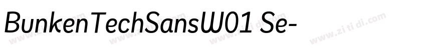 BunkenTechSansW01 Se字体转换